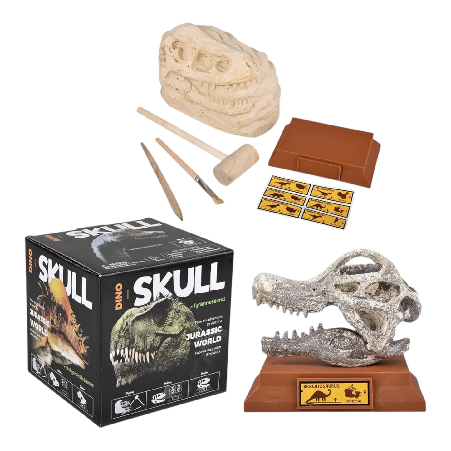 Dino Skull Dig