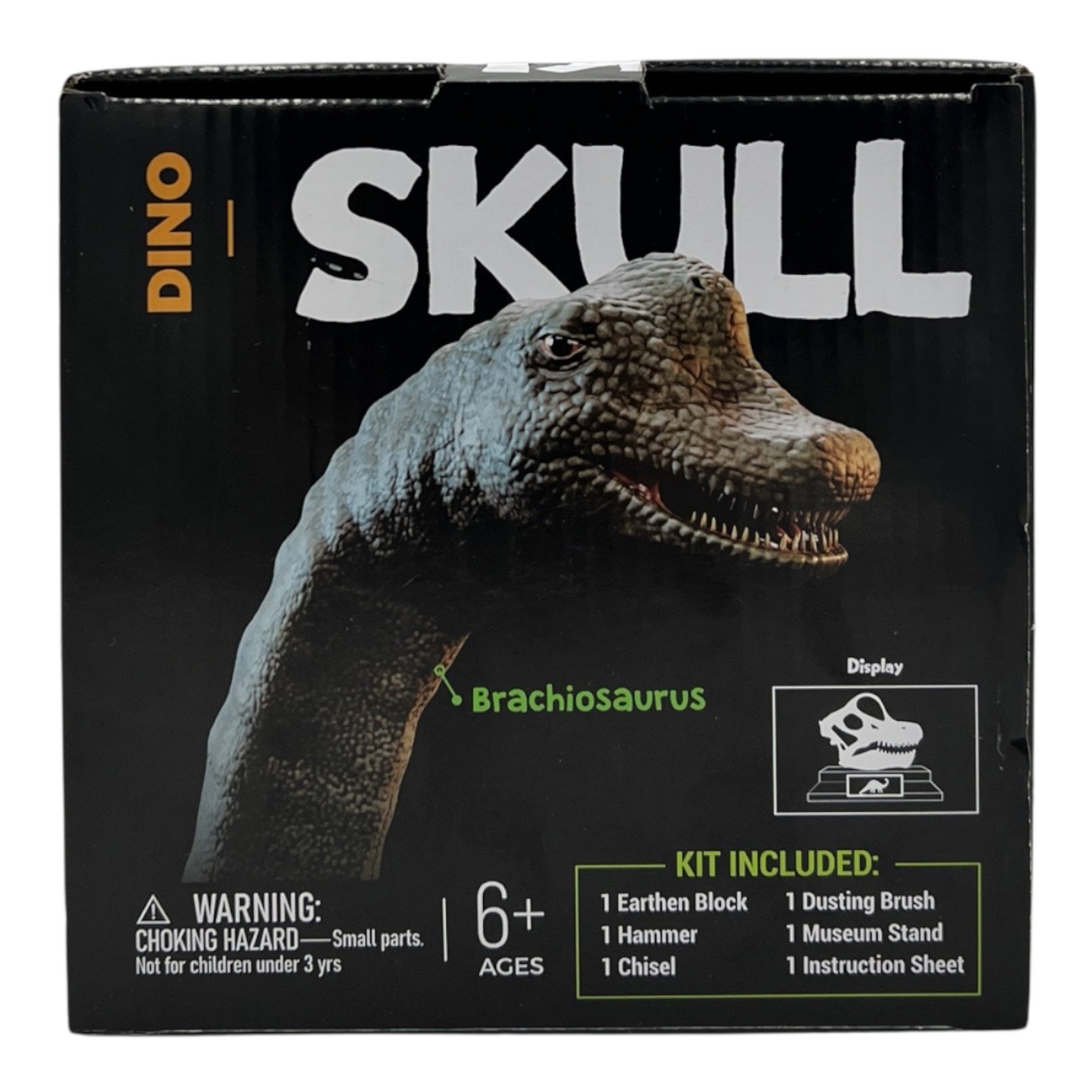 Dino Skull Dig
