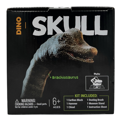 Dino Skull Dig