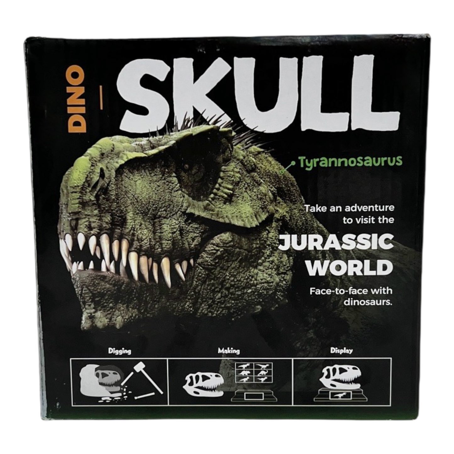 Dino Skull Dig