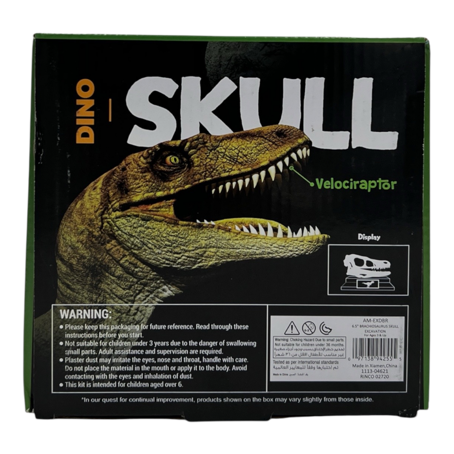 Dino Skull Dig
