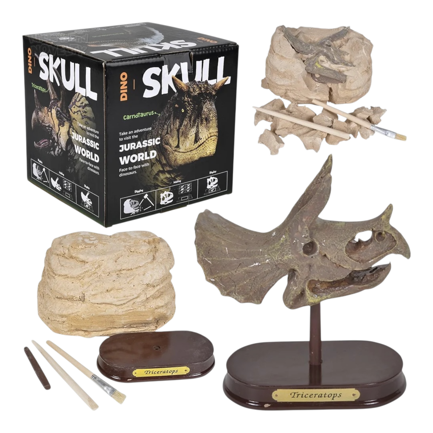 Dino Skull Dig