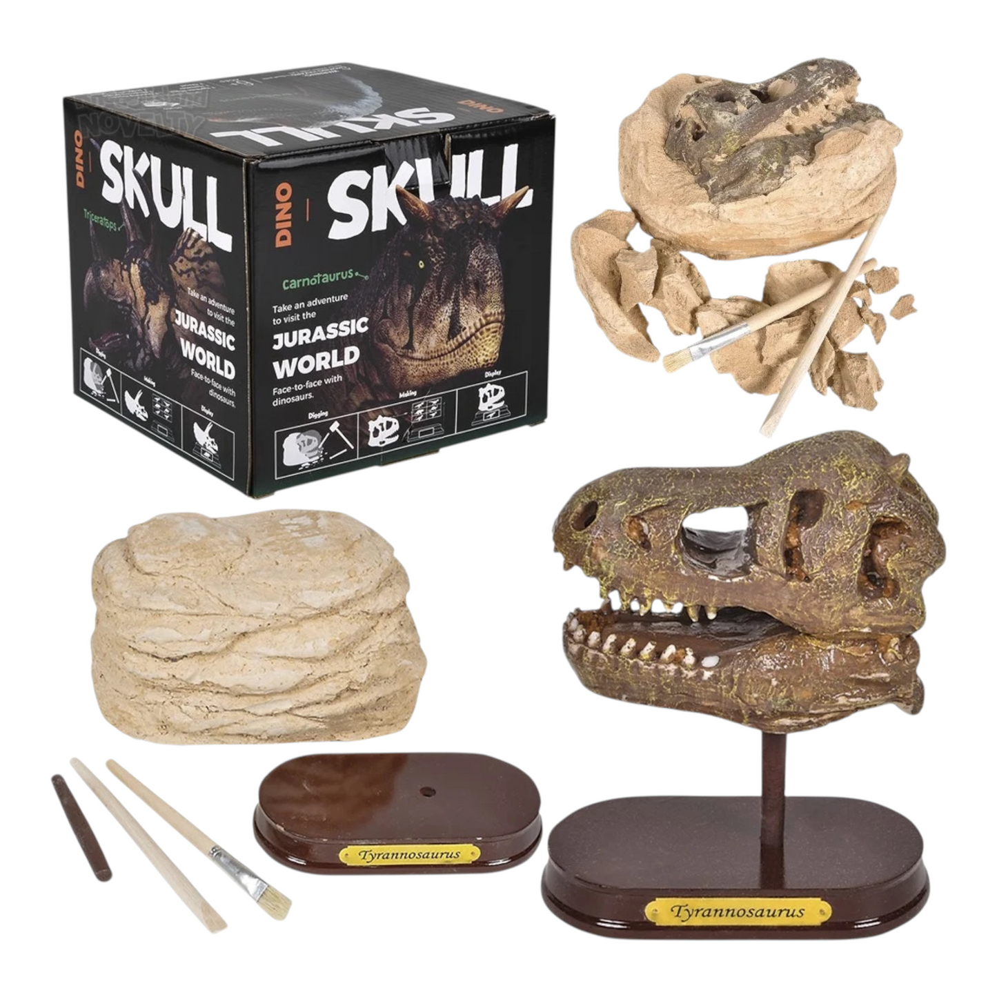 Dino Skull Dig