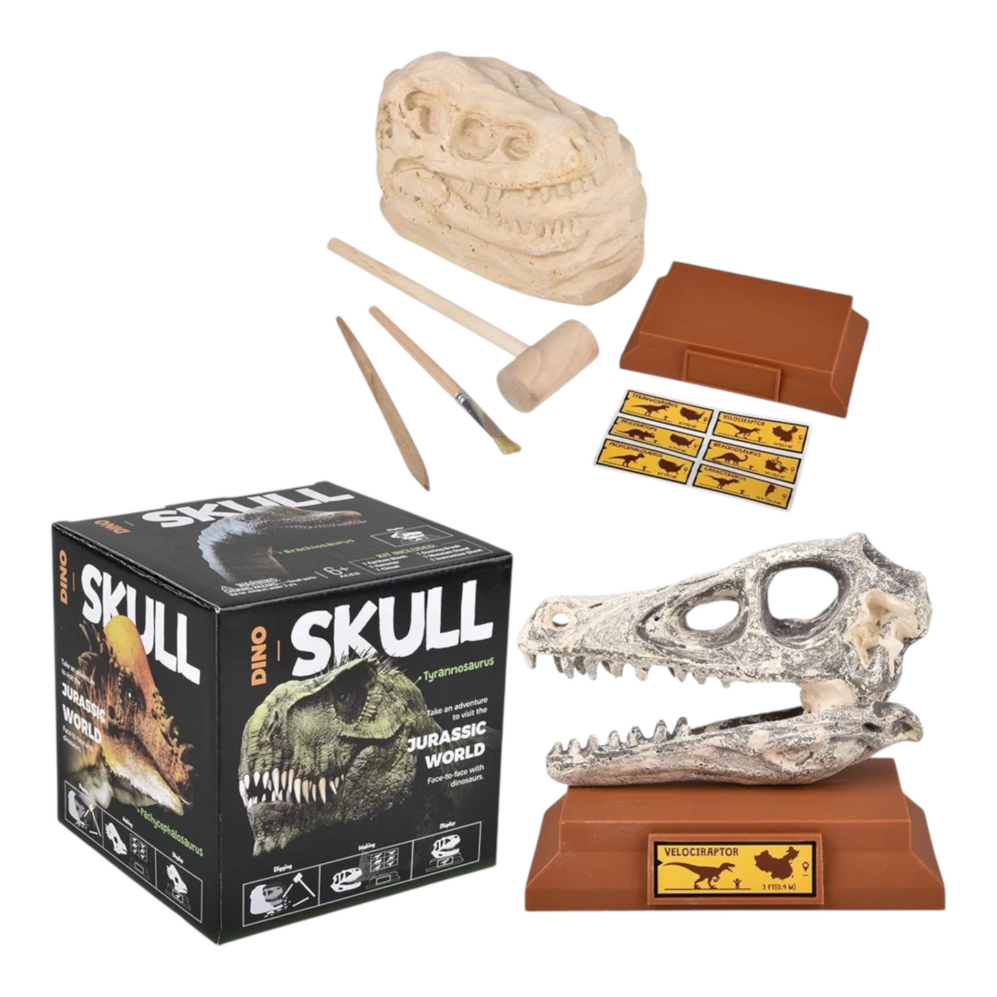 Dino Skull Dig