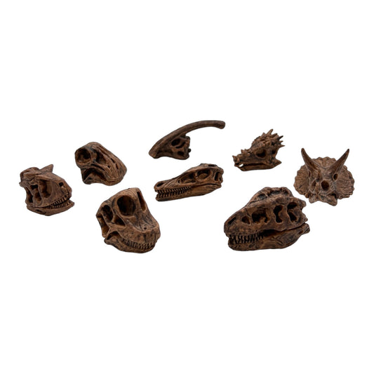 Dino Skulls (Safari)