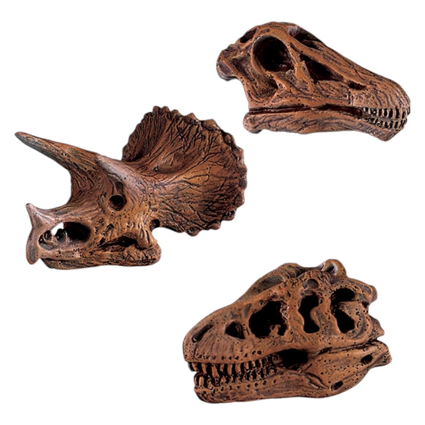 Dinosaur Skulls Toob (Safari)