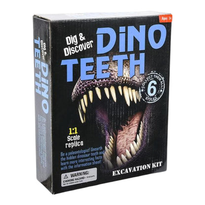 Dino Teeth Excavation Kit