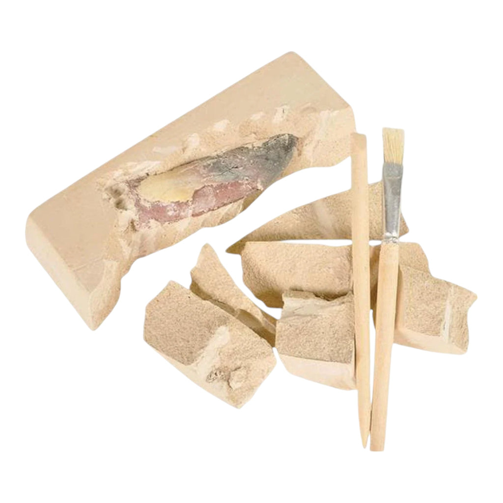 Dino Teeth Excavation Kit