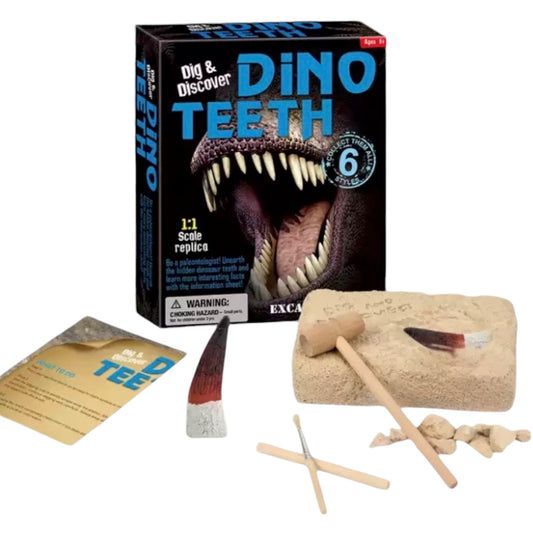 Dino Teeth Excavation Kit