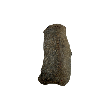 Tumbled Dinosaur Bone