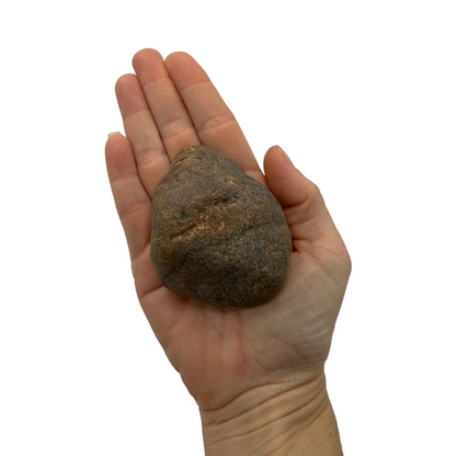 Tumbled Dinosaur Bone