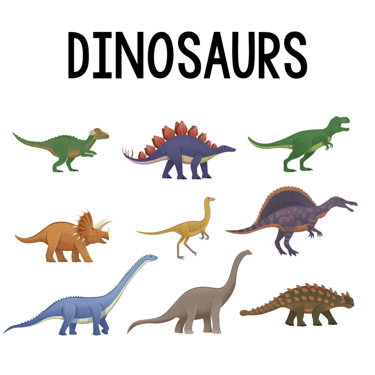 Educational Outreach