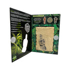Discover China Ancient Dig Kit