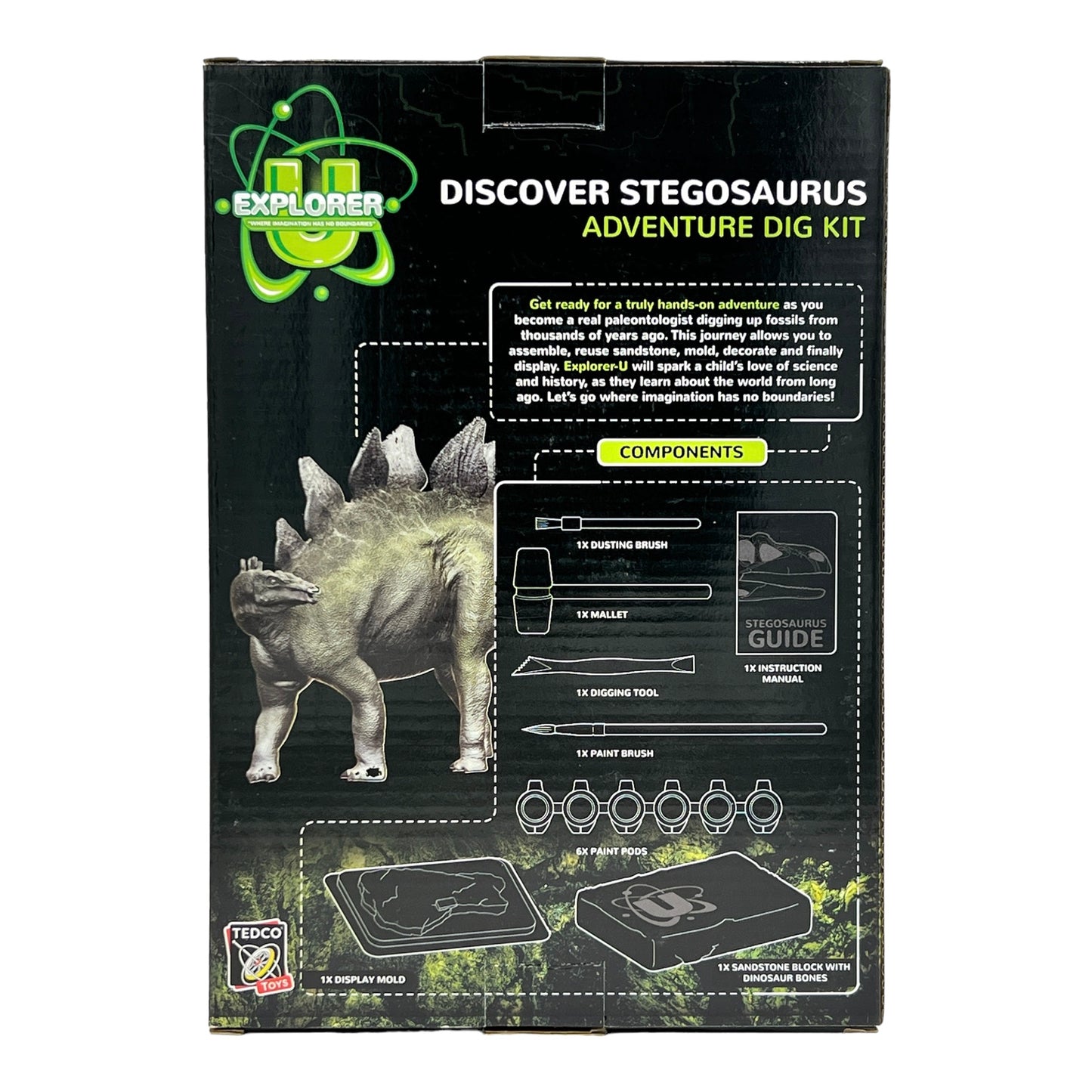 Discover Dig Kits