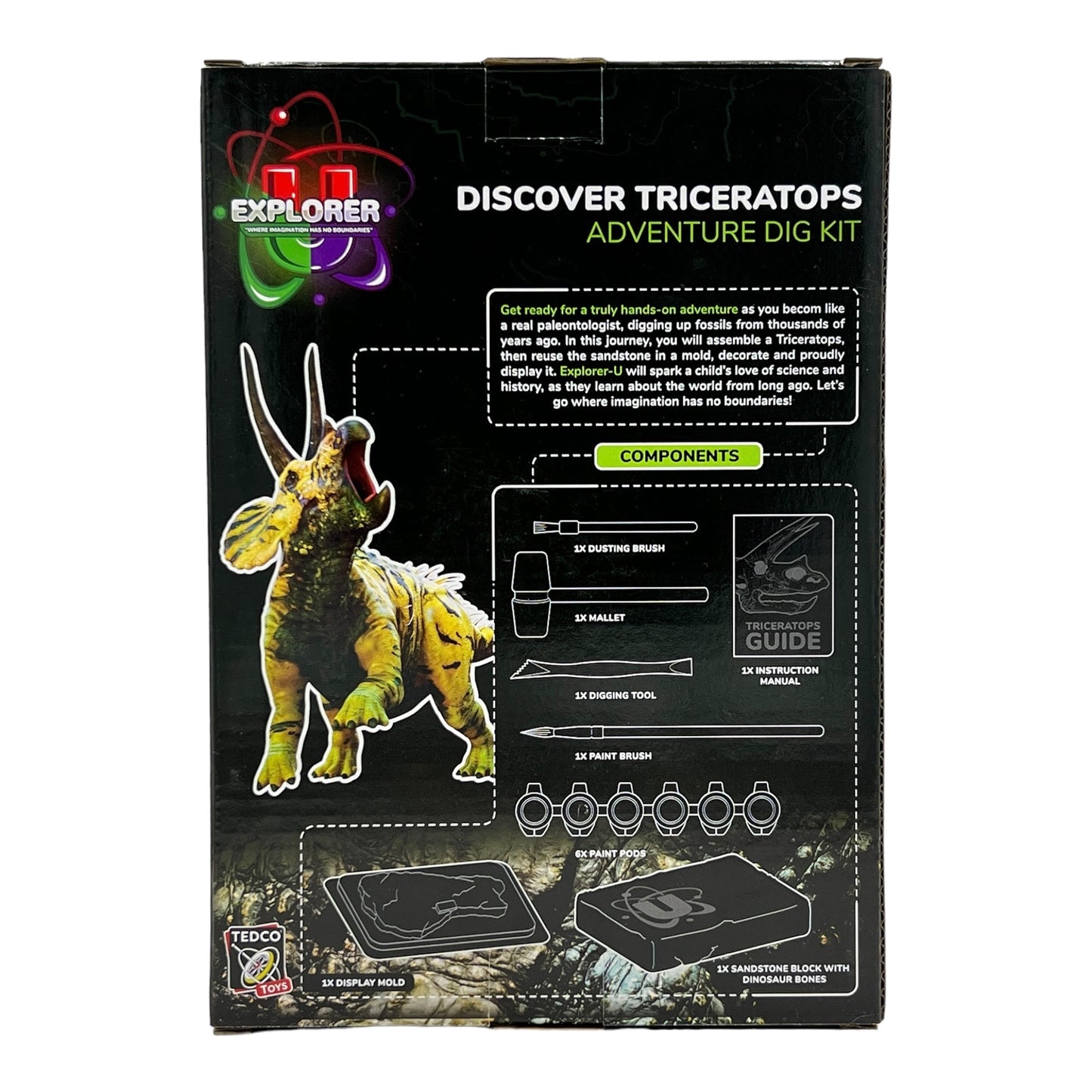 Discover Dig Kits