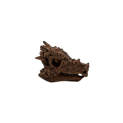 Dino Skulls (Safari)