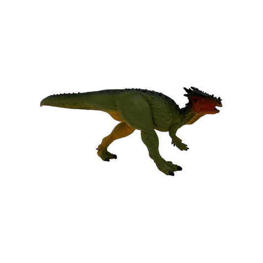 Dracorex (Safari)