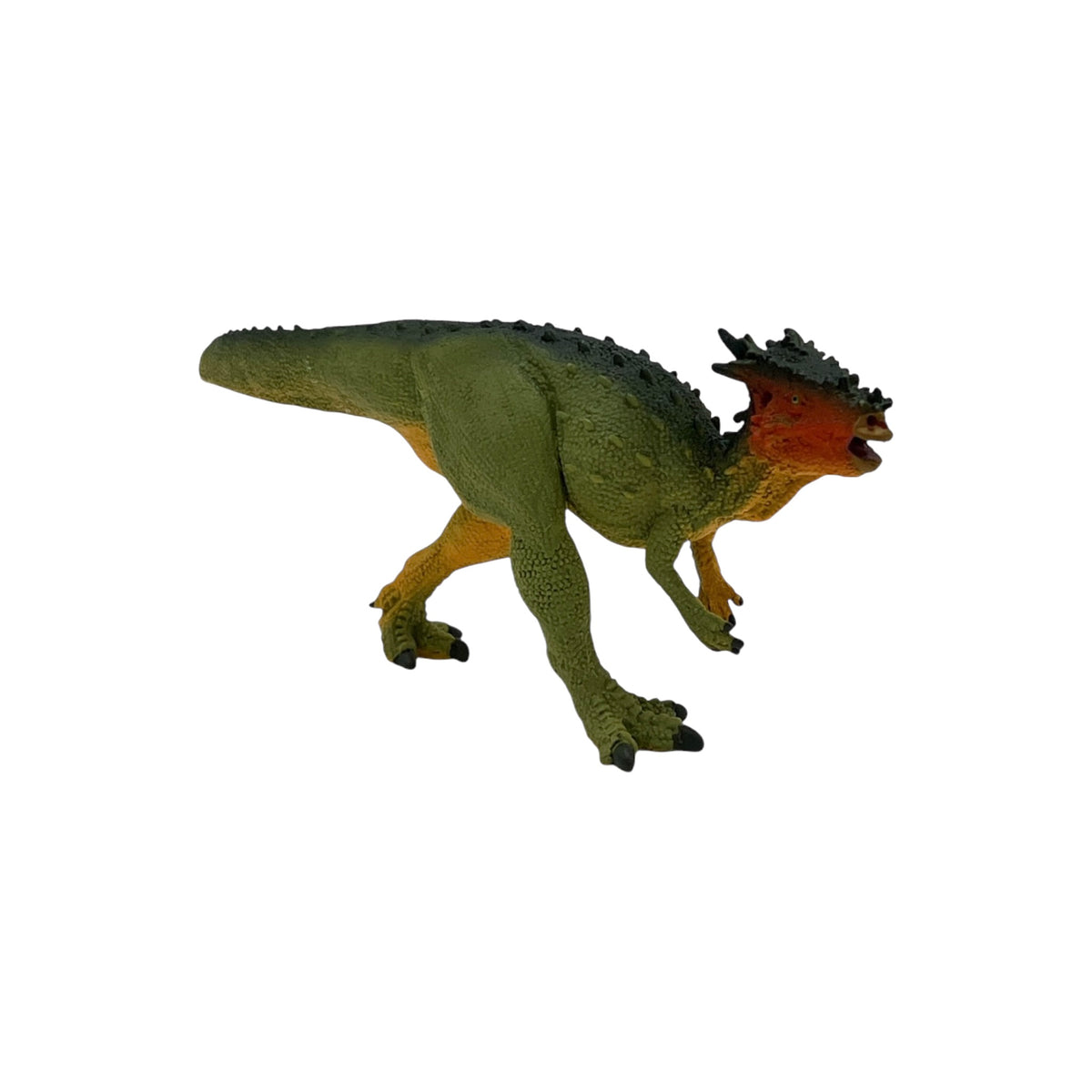 Dracorex (Safari)