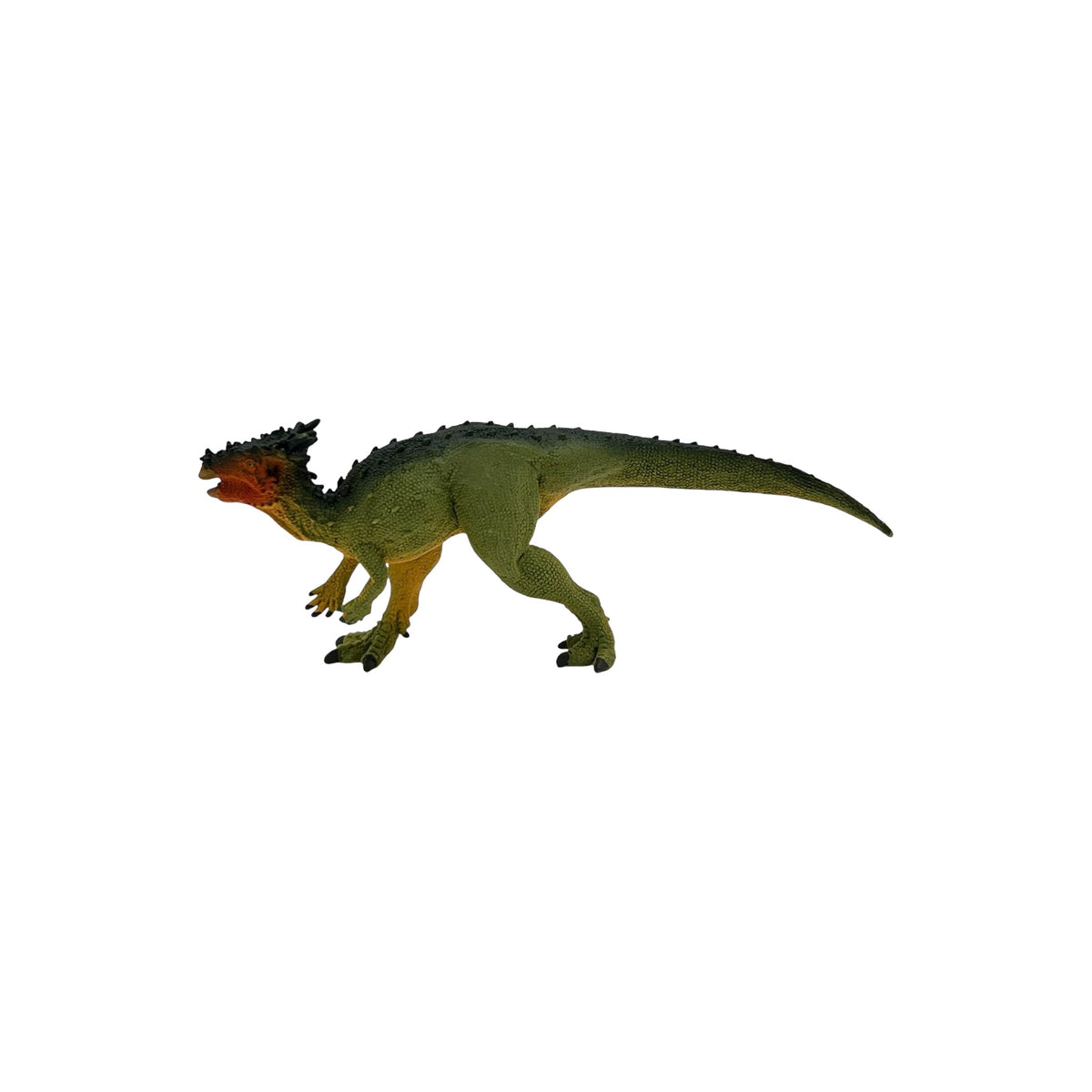 Dracorex (Safari)