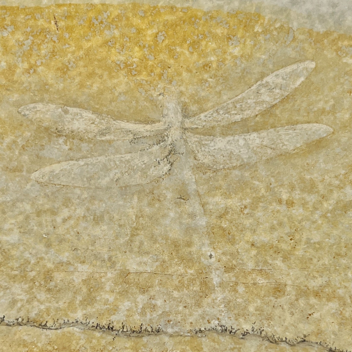 Fossil Dragonfly