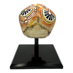 Dreamtime Skull