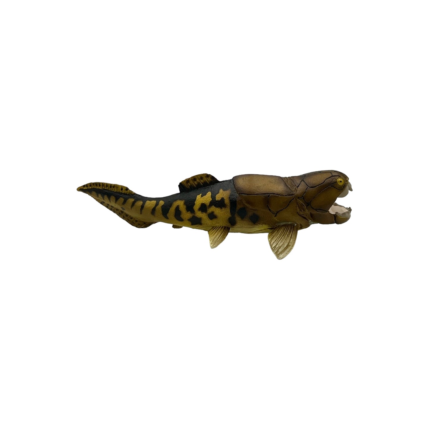 Dunkleosteus (Safari)