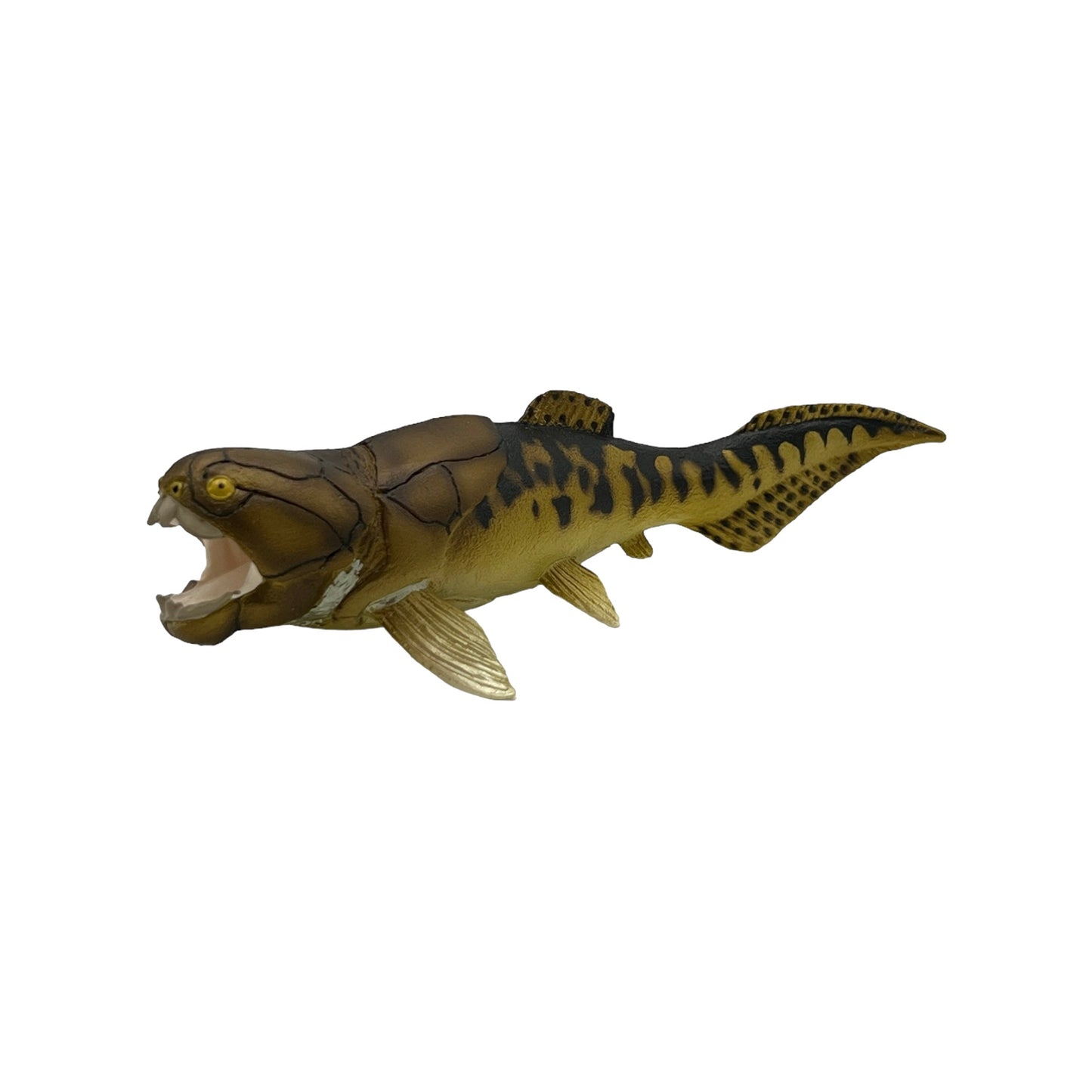 Dunkleosteus (Safari)