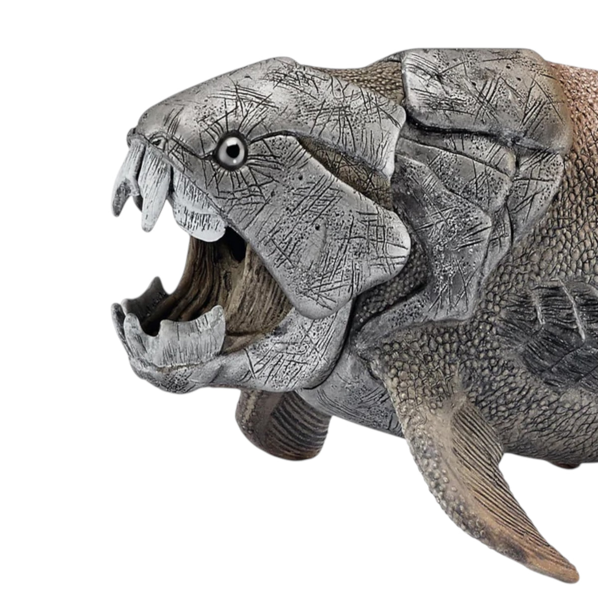 Dunkleosteus