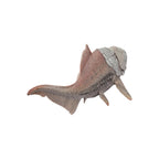 Dunkleosteus