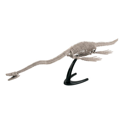 Dr. Steve Hunters Excavation Kit (Elasmosaurus)