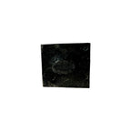 Eldredgeia venusta Trilobite