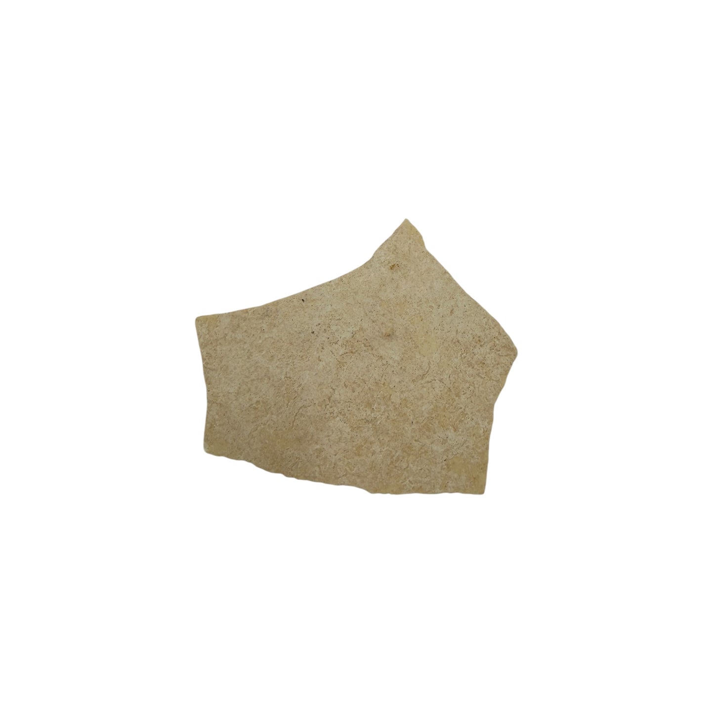 Elephant Bird Eggshell Fragment