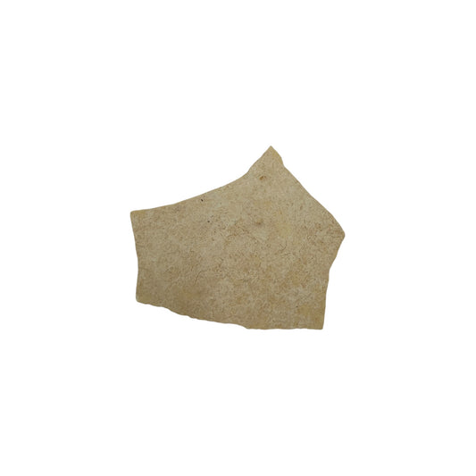 Elephant Bird Eggshell Fragment