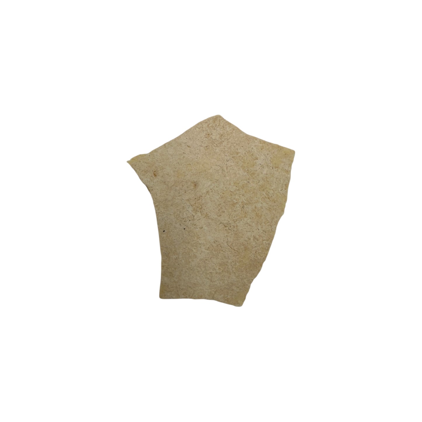 Elephant Bird Eggshell Fragment