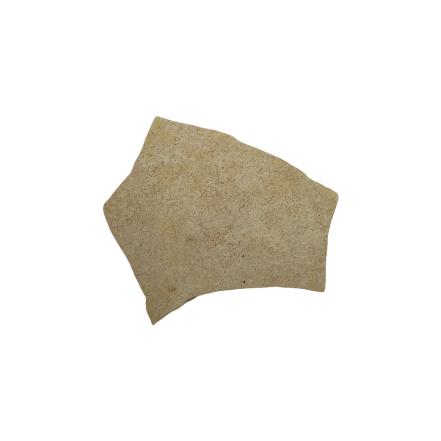 Elephant Bird Eggshell Fragment
