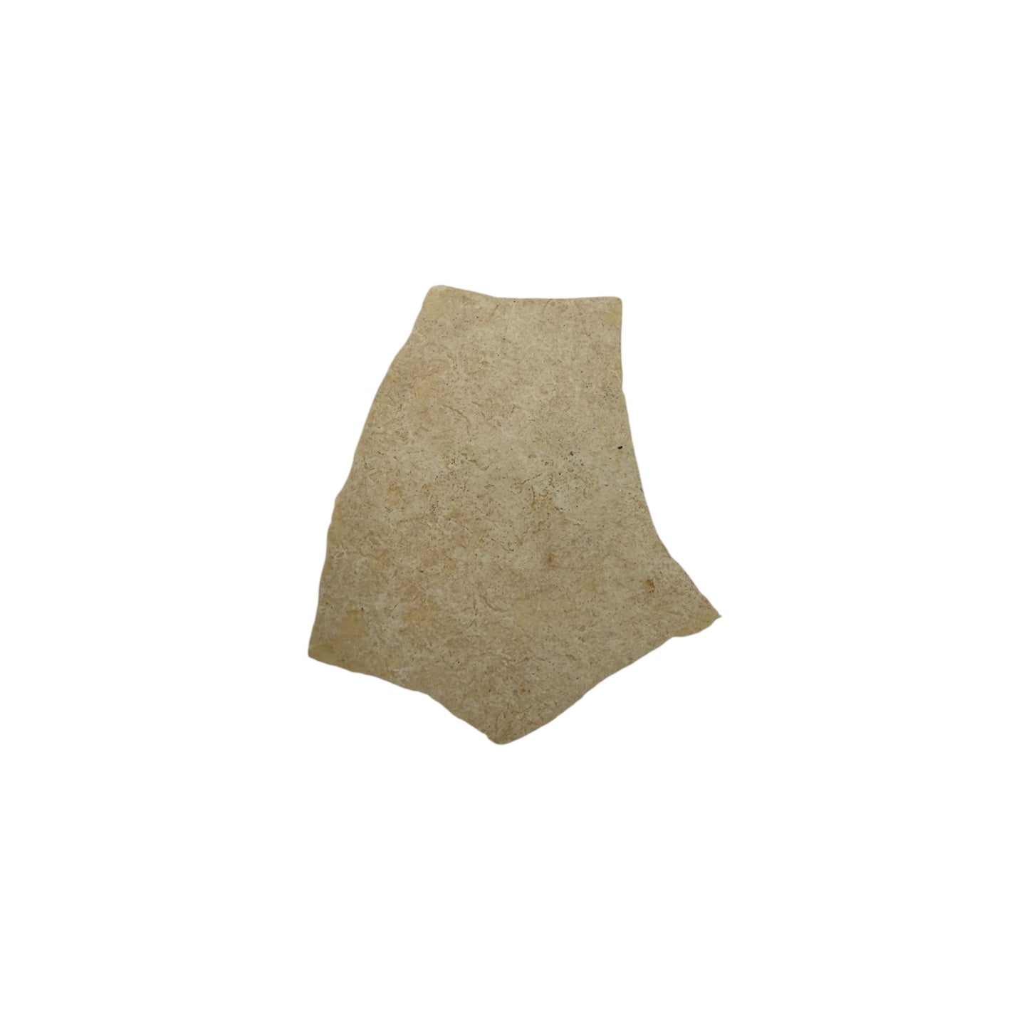 Elephant Bird Eggshell Fragment