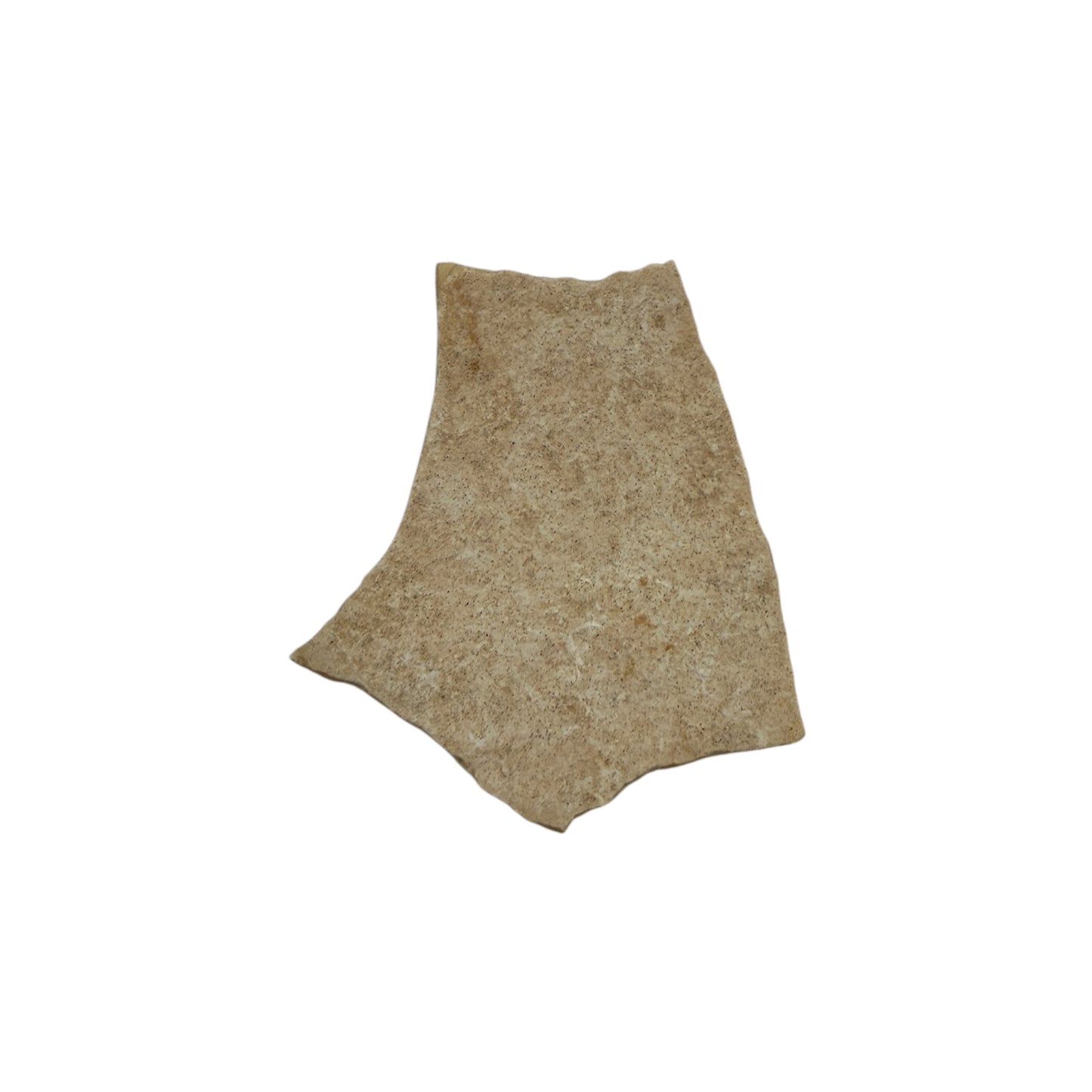 Elephant Bird Eggshell Fragment