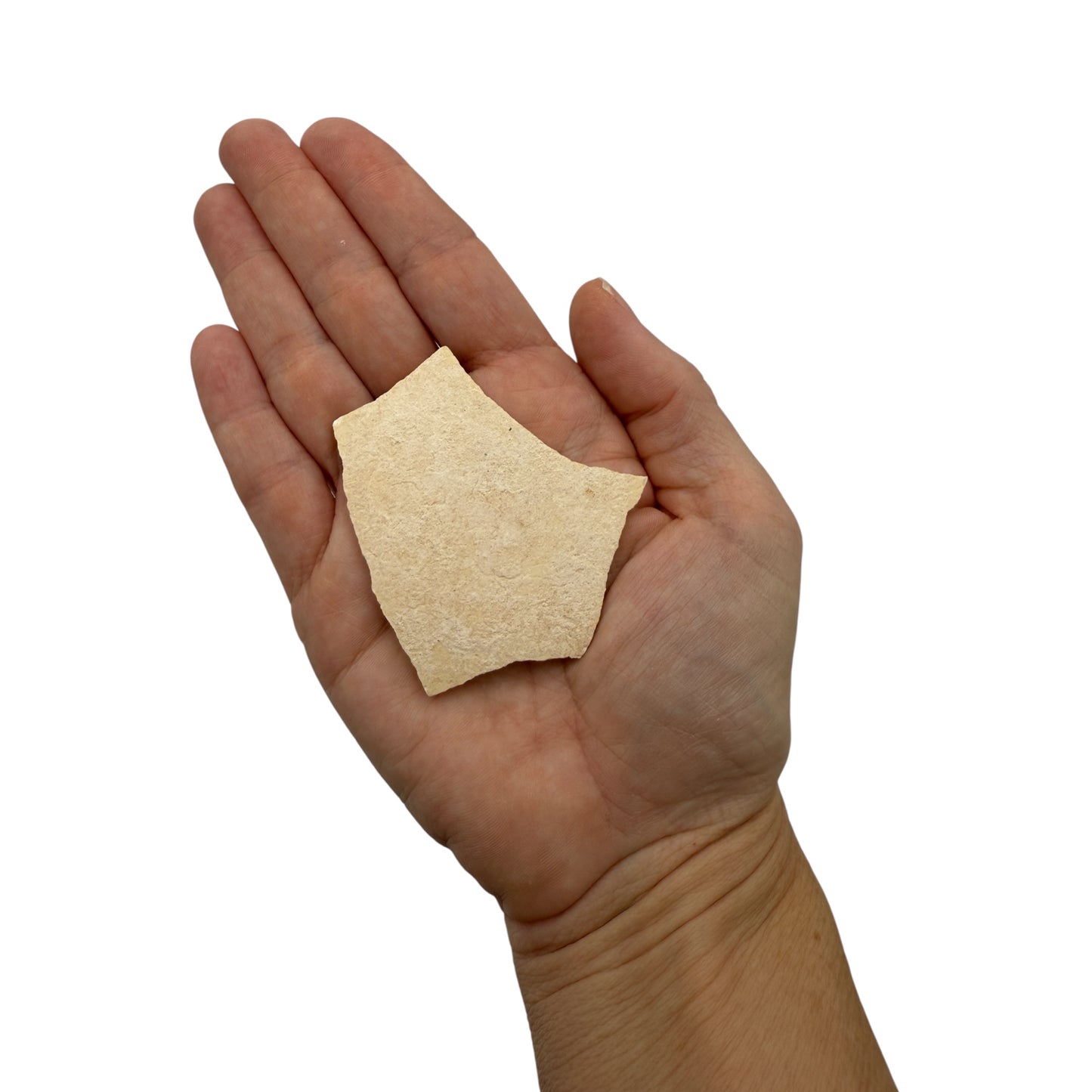 Elephant Bird Eggshell Fragment