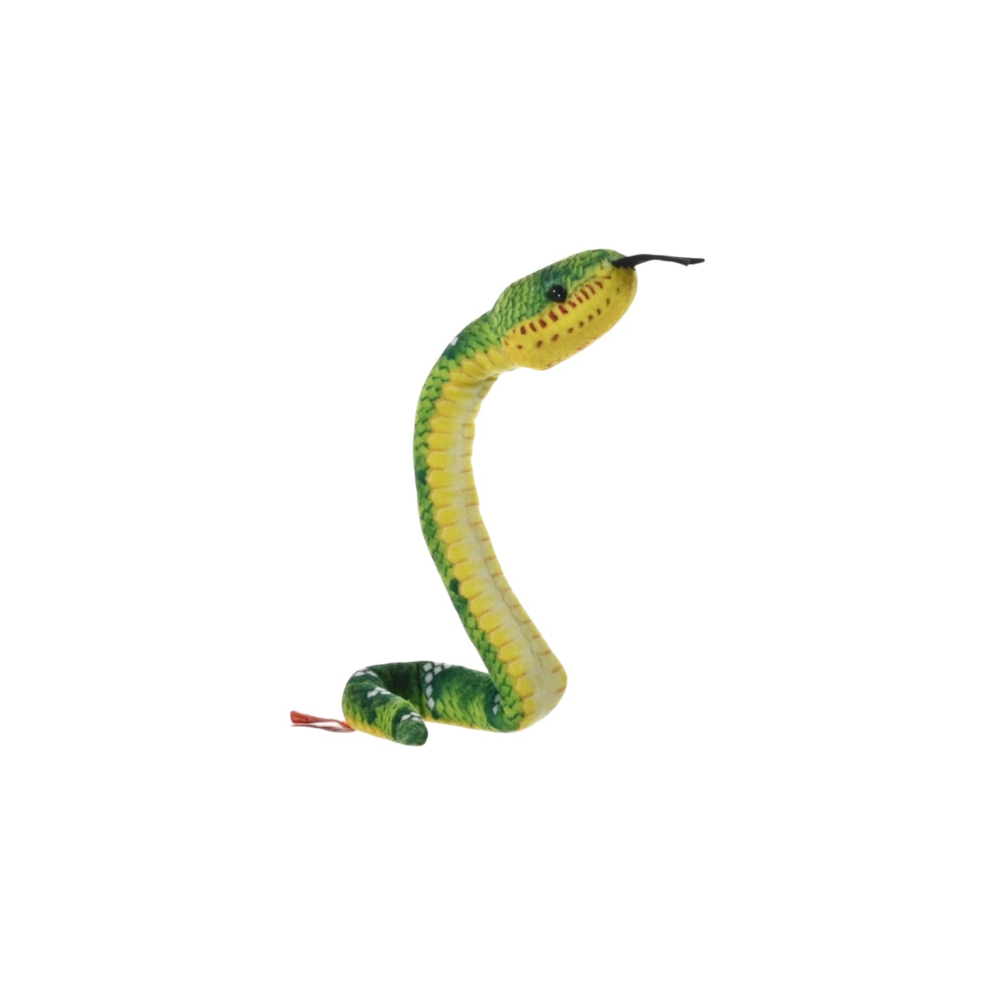 Coilkins Snake
