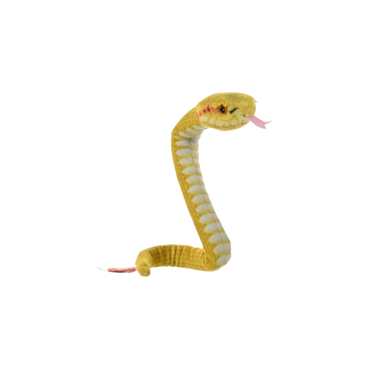 Coilkins Snake