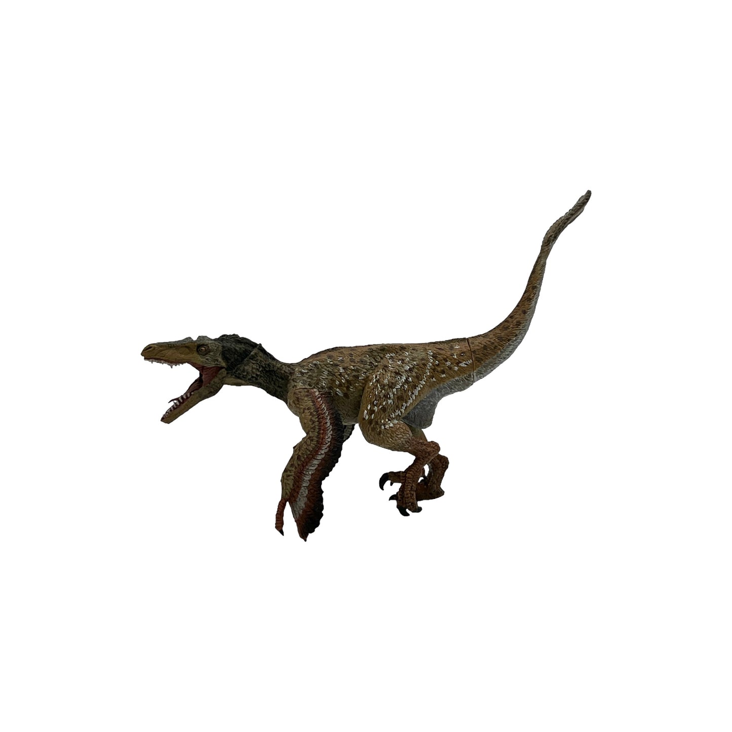 Feathered Velociraptor (Papo)