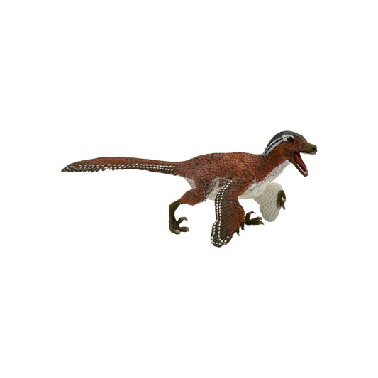 Feathered Velociraptor (Safari)