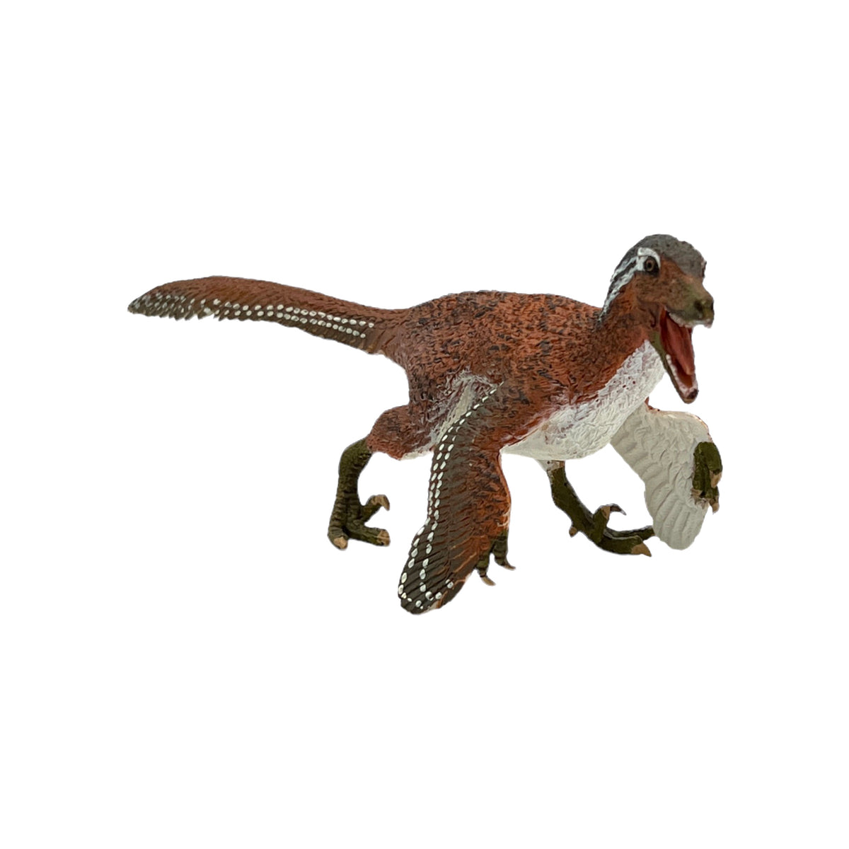 Feathered Velociraptor (Safari)