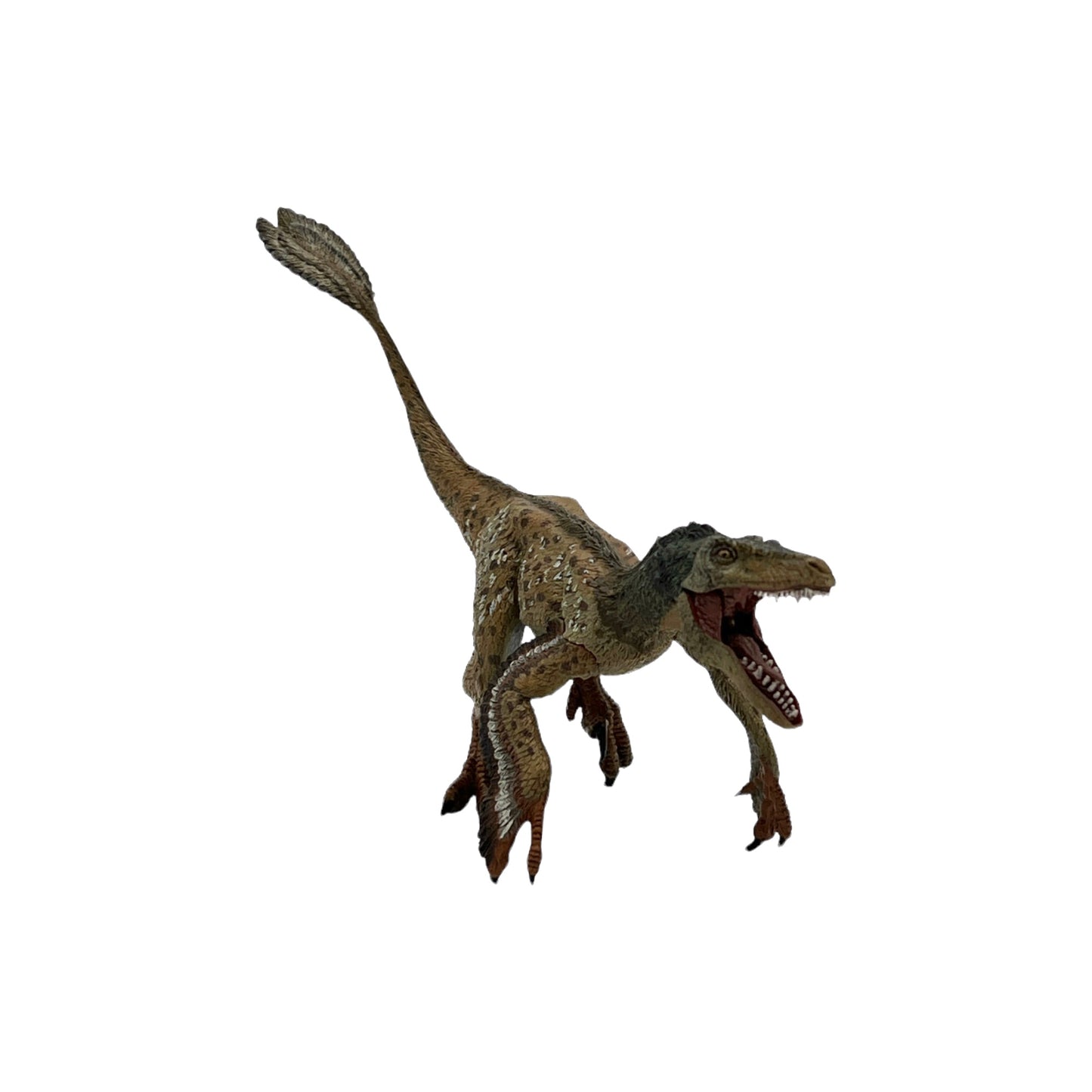 Feathered Velociraptor (Papo)