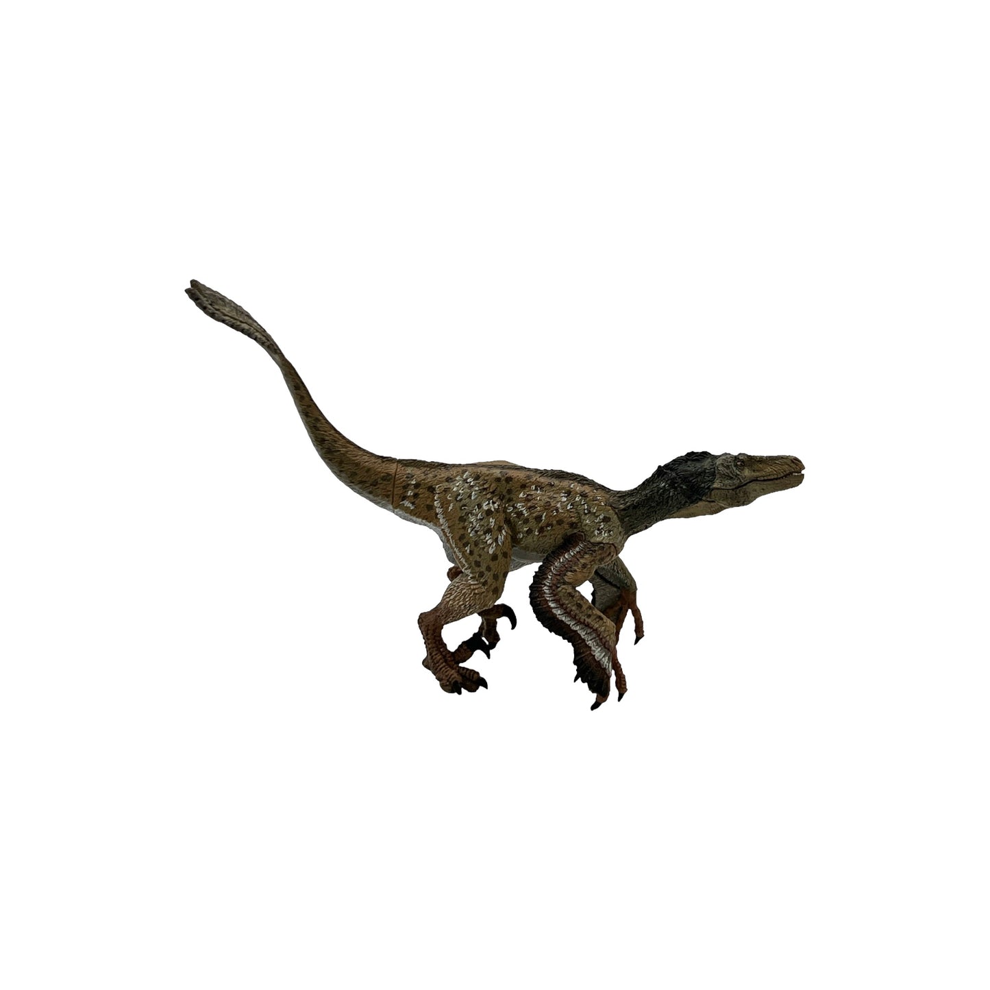 Feathered Velociraptor (Papo)