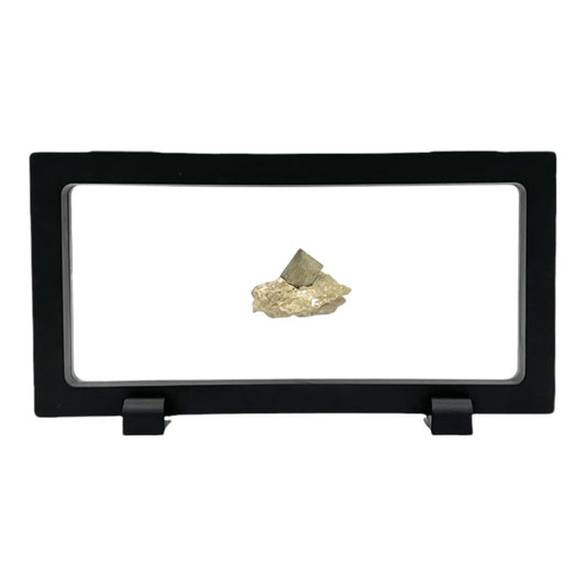 Floating Display Case (Rectangle)