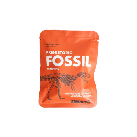 Fossil Blind Bag