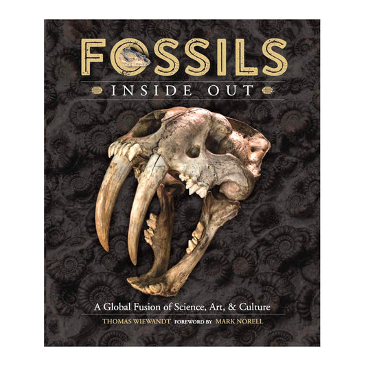 Fossils Inside Out