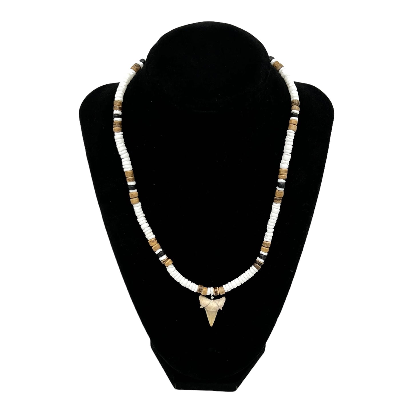 Fossil Shark Tooth Necklace