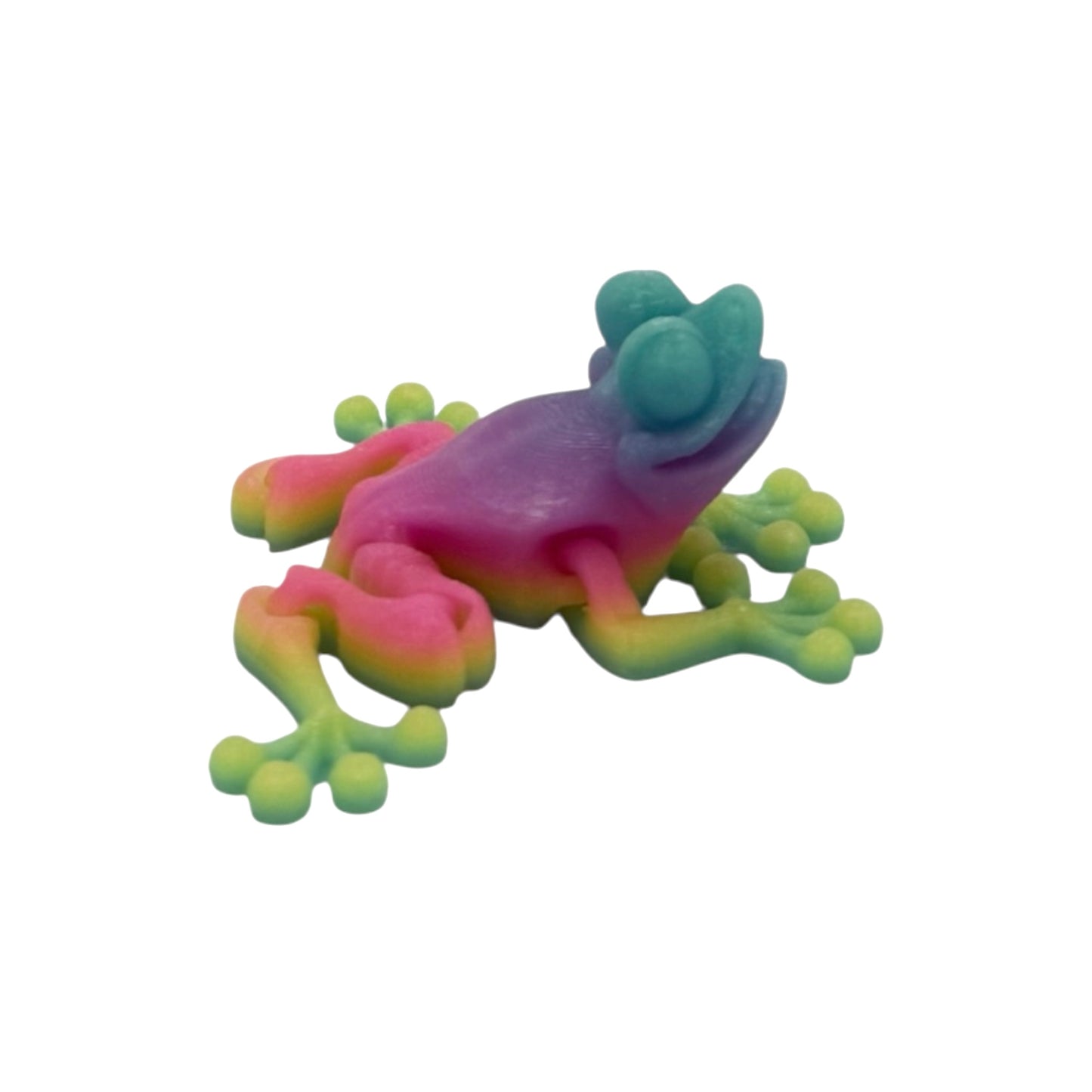 3D Printed Frog